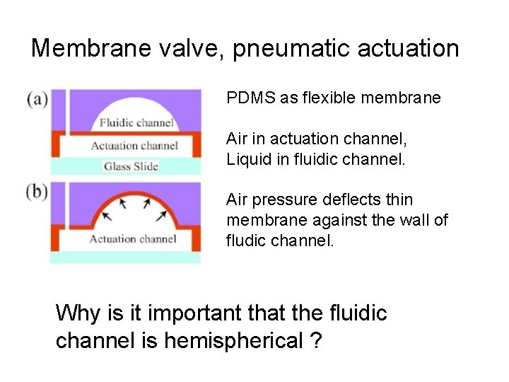 Membrane valve, pneumatic actuation PDMS as flexible membrane Air in actuation channel, Liquid in