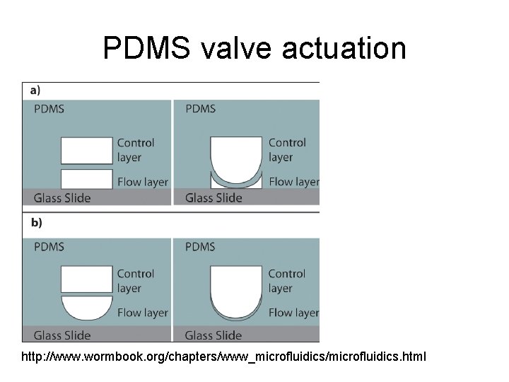 PDMS valve actuation http: //www. wormbook. org/chapters/www_microfluidics/microfluidics. html 