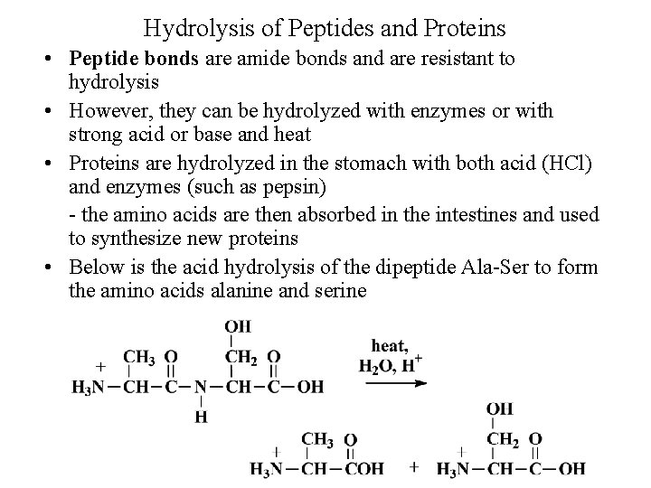 Hydrolysis of Peptides and Proteins • Peptide bonds are amide bonds and are resistant
