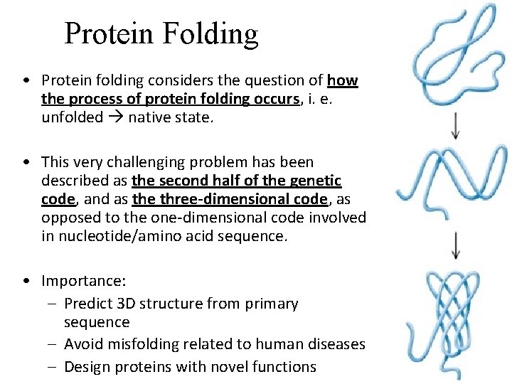 Protein Folding • Protein folding considers the question of how the process of protein