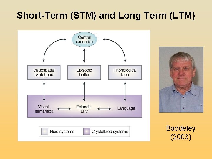 Short-Term (STM) and Long Term (LTM) Baddeley (2003) Short-Term (STM) and Long Term (LTM) Baddeley (2003)
