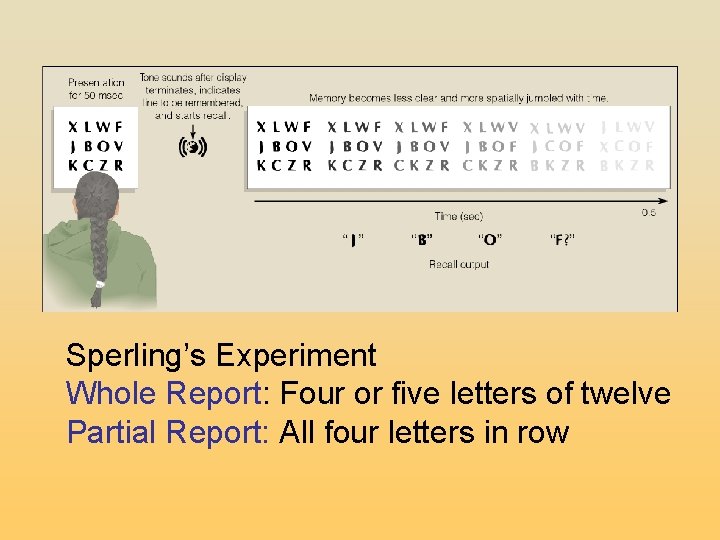 Sperling’s Experiment Whole Report: Four or five letters of twelve Partial Report: All four Sperling’s Experiment Whole Report: Four or five letters of twelve Partial Report: All four