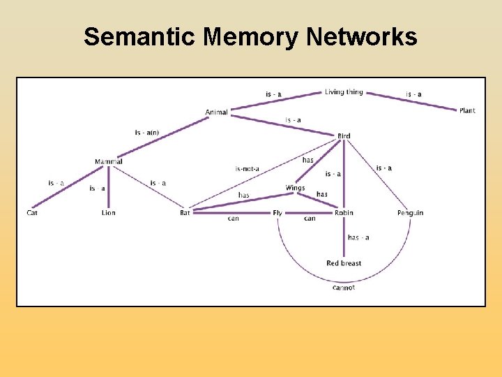 Semantic Memory Networks Semantic Memory Networks