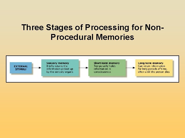 Three Stages of Processing for Non. Procedural Memories Three Stages of Processing for Non. Procedural Memories