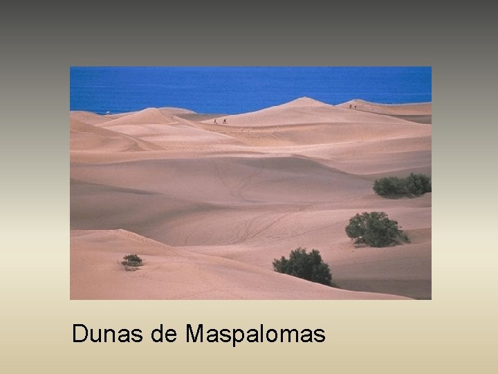 Dunas de Maspalomas 