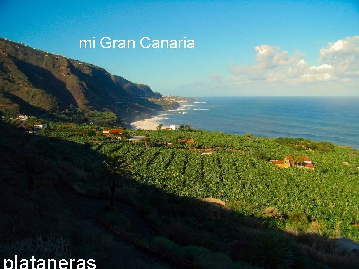 mi Gran Canaria 