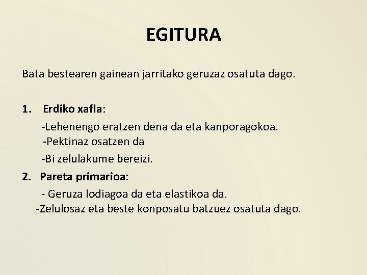 EGITURA Bata bestearen gainean jarritako geruzaz osatuta dago. 1. Erdiko xafla: -Lehenengo eratzen dena