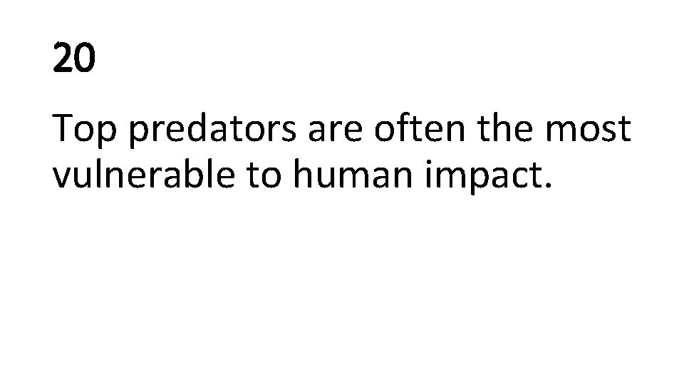 20 Top predators are often the most vulnerable to human impact. 