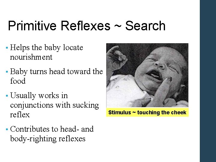 Primitive Reflexes ~ Search • Helps the baby locate nourishment • Baby turns head