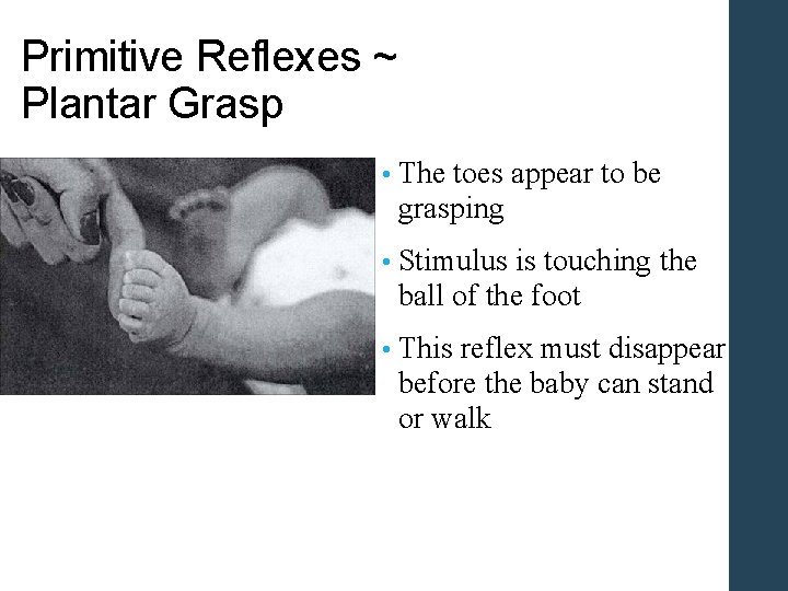 Primitive Reflexes ~ Plantar Grasp • The toes appear to be grasping • Stimulus Primitive Reflexes ~ Plantar Grasp • The toes appear to be grasping • Stimulus