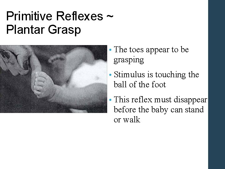 Primitive Reflexes ~ Plantar Grasp • The toes appear to be grasping • Stimulus