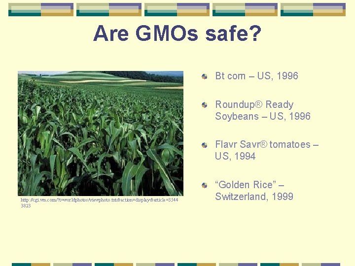Are GMOs safe? Bt corn – US, 1996 Roundup® Ready Soybeans – US, 1996