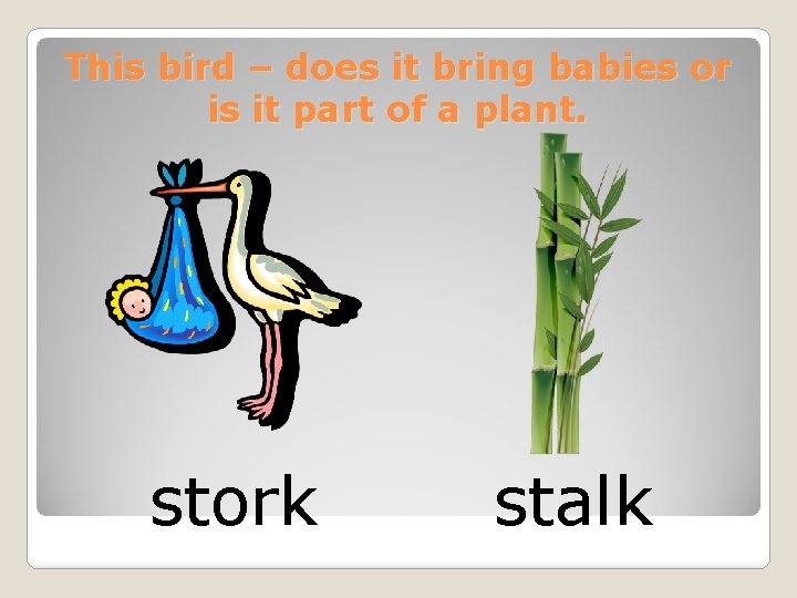 This bird – does it bring babies or is it part of a plant.