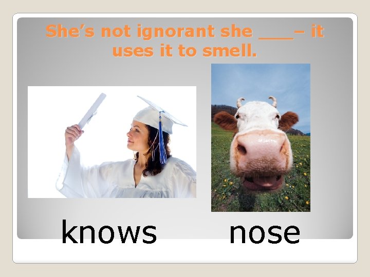 She’s not ignorant she ___– it uses it to smell. knows nose 