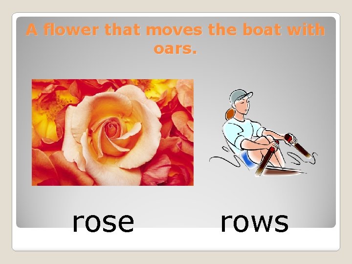 A flower that moves the boat with oars. rose rows 