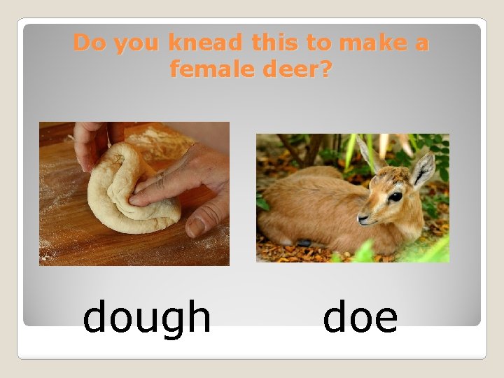 Do you knead this to make a female deer? dough doe 