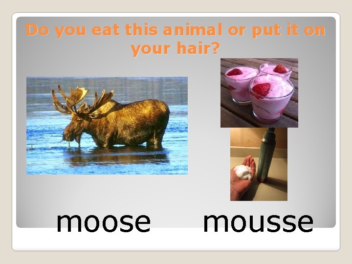 Do you eat this animal or put it on your hair? moose mousse 