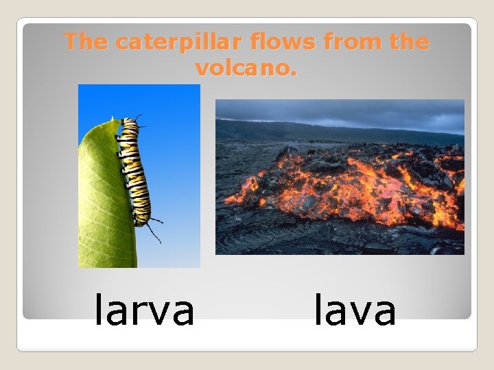 The caterpillar flows from the volcano. larva lava 