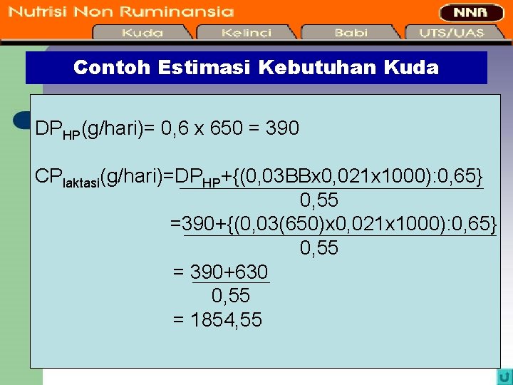 Contoh Estimasi Kebutuhan Kuda DPHP(g/hari)= 0, 6 x 650 = 390 CPlaktasi(g/hari)=DPHP+{(0, 03 BBx
