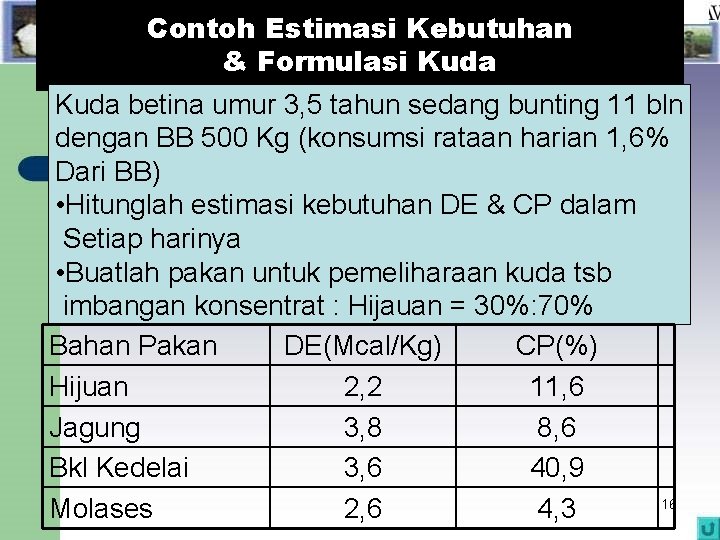 Contoh Estimasi Kebutuhan & Formulasi Kuda betina umur 3, 5 tahun sedang bunting 11