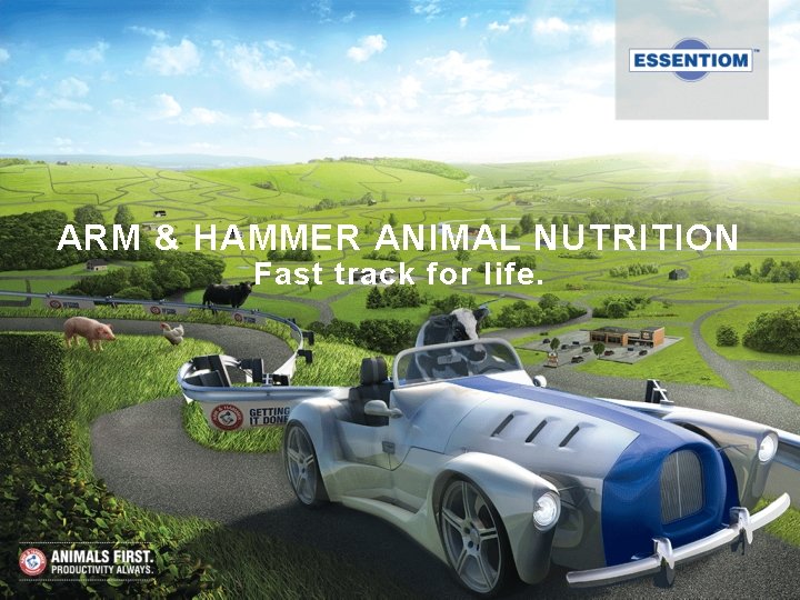 ARM & HAMMER ANIMAL NUTRITION Fast track for life. 