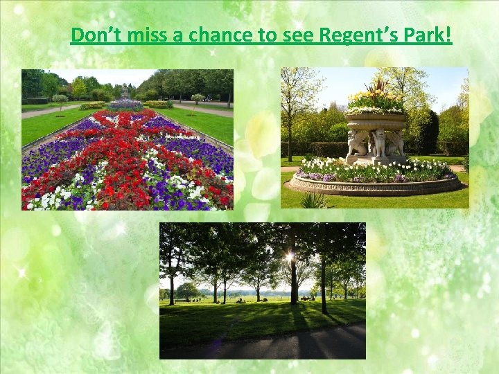 Don’t miss a chance to see Regent’s Park! 