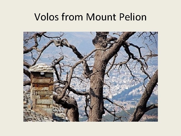 Volos from Mount Pelion Volos from Mount Pelion