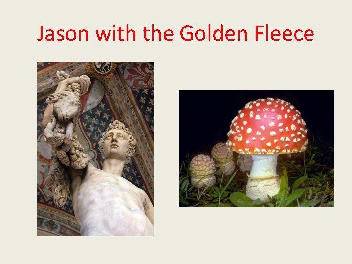 Jason with the Golden Fleece Jason with the Golden Fleece