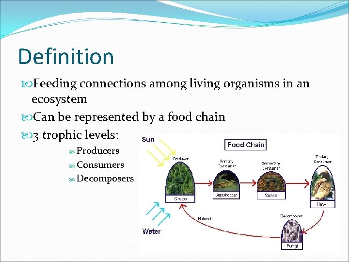 Definition Feeding connections among living organisms in an ecosystem Can be represented by a