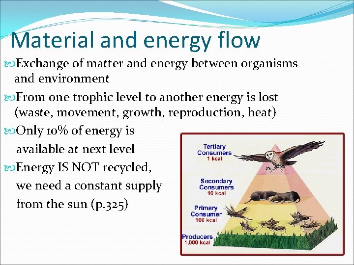 Material and energy flow Exchange of matter and energy between organisms and environment From