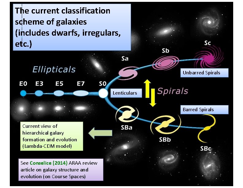 The current classification scheme of galaxies (includes dwarfs, irregulars, etc. ) Unbarred Spirals Lenticulars