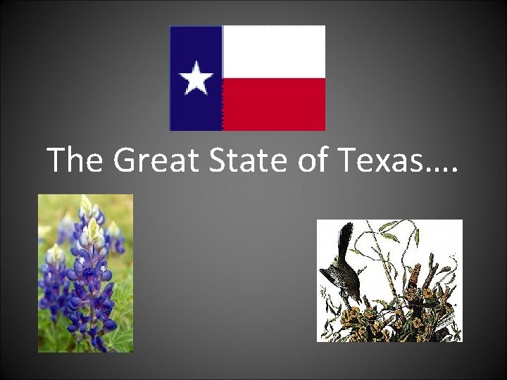 The Great State of Texas…. 