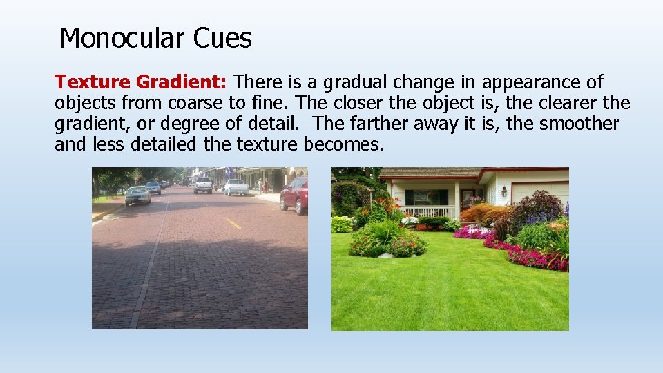 Monocular Cues Texture Gradient: There is a gradual change in appearance of objects from
