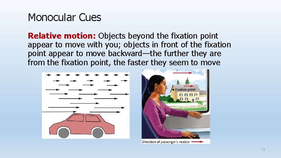 Monocular Cues Relative motion: Objects beyond the fixation point appear to move with you;