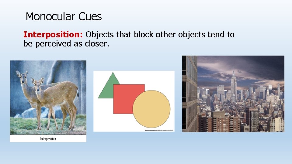 Monocular Cues Interposition: Objects that block other objects tend to be perceived as closer.