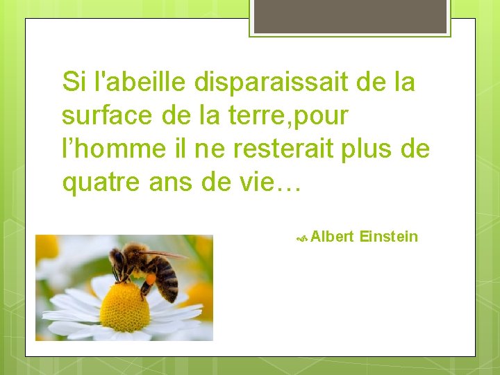 Si l'abeille disparaissait de la surface de la terre, pour l’homme il ne resterait