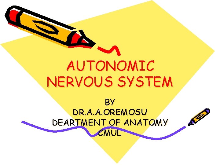 AUTONOMIC NERVOUS SYSTEM BY DR. A. A. OREMOSU DEARTMENT OF ANATOMY CMUL 