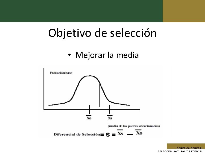 Objetivo de selección • Mejorar la media GENÉTICA GENERAL SELECCIÓN NATURAL Y ARTIFICIAL 