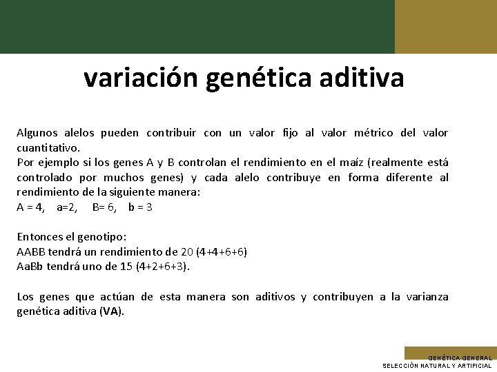 variación genética aditiva Algunos alelos pueden contribuir con un valor fijo al valor métrico