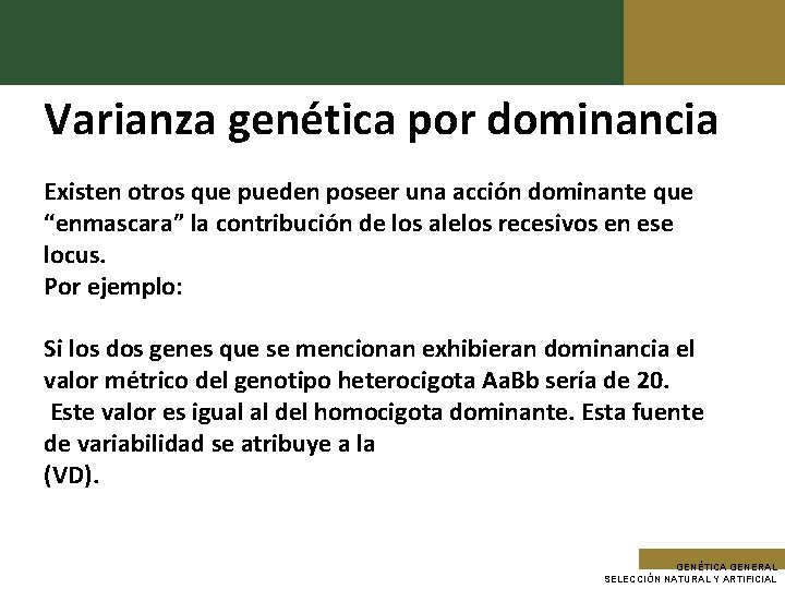 Varianza genética por dominancia Existen otros que pueden poseer una acción dominante que “enmascara”