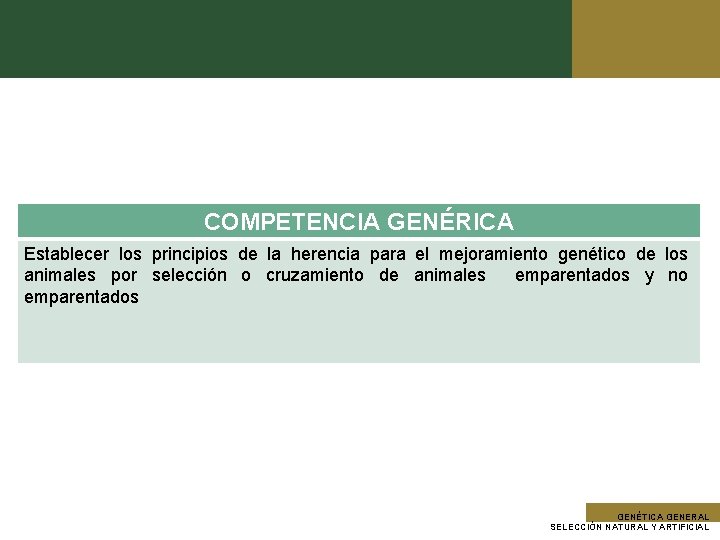 COMPETENCIA GENÉRICA Establecer los principios de la herencia para el mejoramiento genético de los