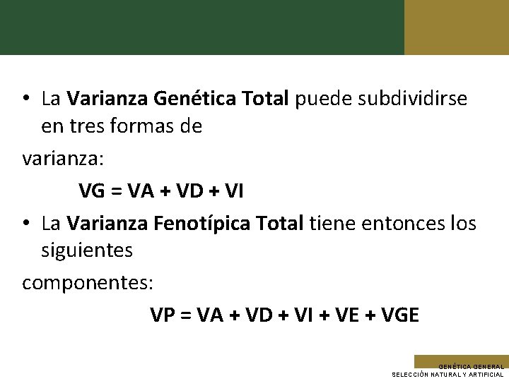  • La Varianza Genética Total puede subdividirse en tres formas de varianza: VG