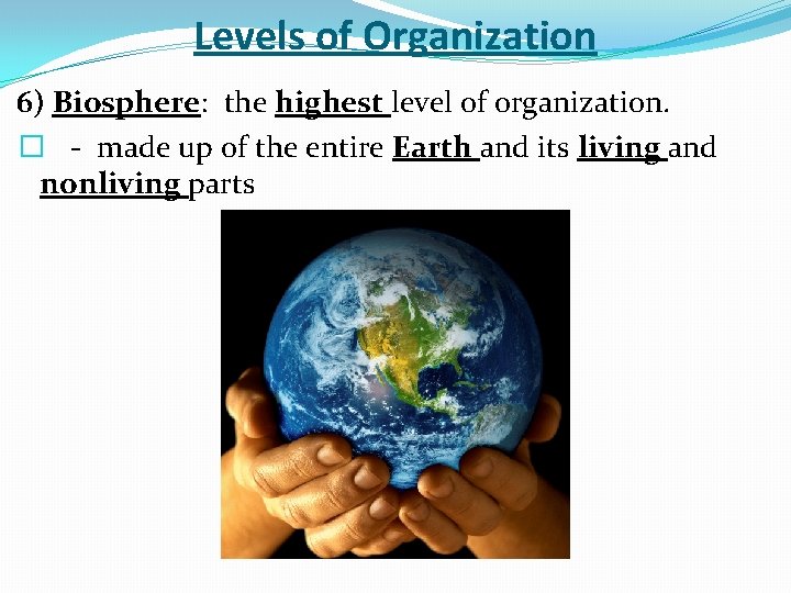 Levels of Organization 6) Biosphere: the highest level of organization. � - made up