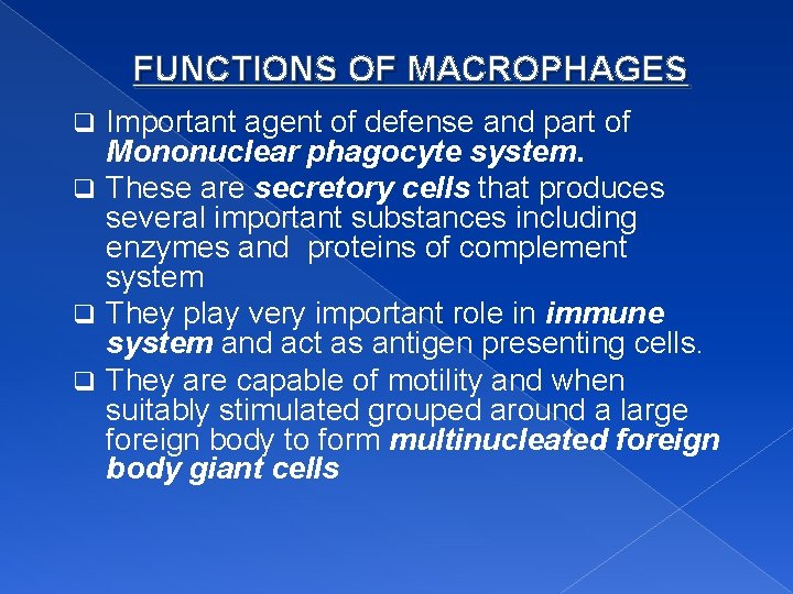 FUNCTIONS OF MACROPHAGES Important agent of defense and part of Mononuclear phagocyte system. q