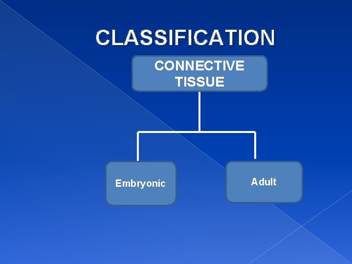 CLASSIFICATION CONNECTIVE TISSUE Embryonic Adult 