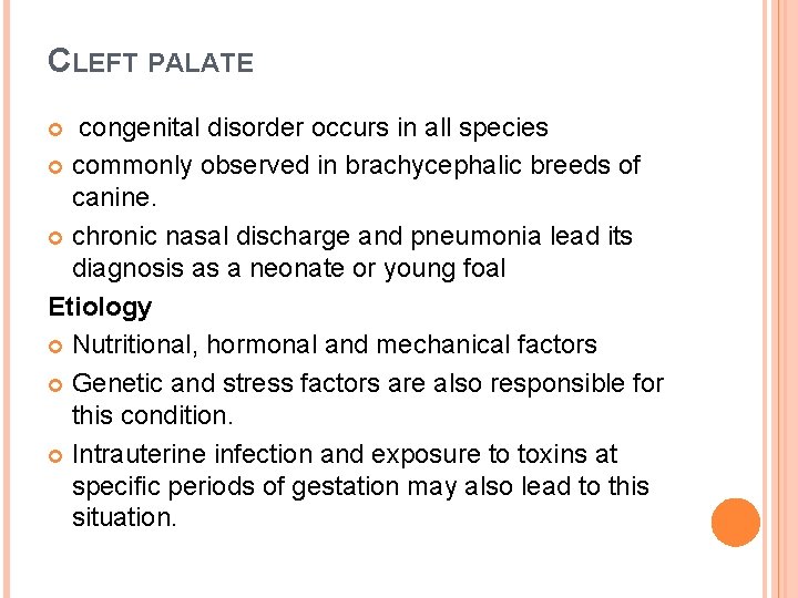 CLEFT PALATE congenital disorder occurs in all species commonly observed in brachycephalic breeds of CLEFT PALATE congenital disorder occurs in all species commonly observed in brachycephalic breeds of
