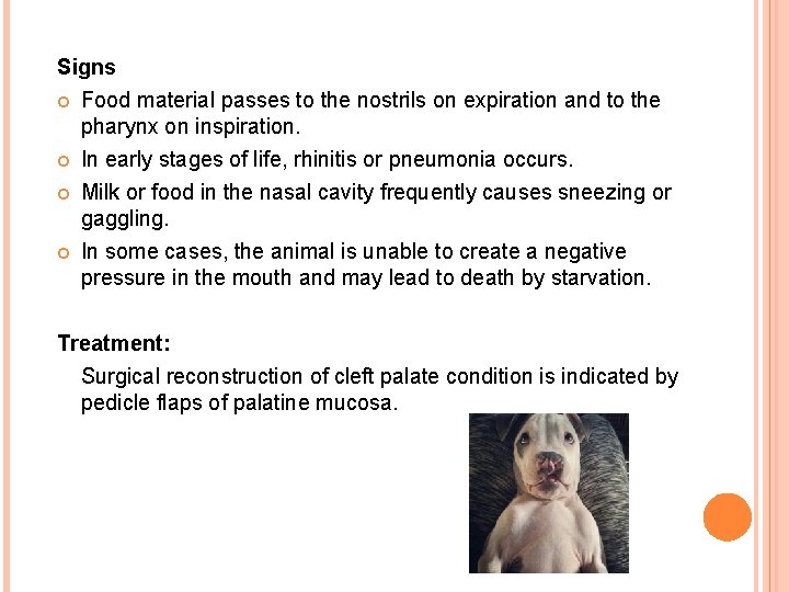 Signs Food material passes to the nostrils on expiration and to the pharynx on Signs Food material passes to the nostrils on expiration and to the pharynx on