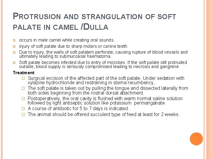 PROTRUSION AND STRANGULATION OF SOFT PALATE IN CAMEL /DULLA occurs in male camel while PROTRUSION AND STRANGULATION OF SOFT PALATE IN CAMEL /DULLA occurs in male camel while