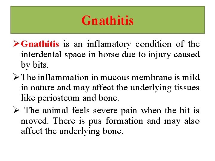 Gnathitis Ø Gnathitis is an inflamatory condition of the interdental space in horse due Gnathitis Ø Gnathitis is an inflamatory condition of the interdental space in horse due