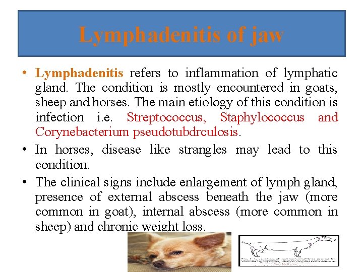 Lymphadenitis of jaw • Lymphadenitis refers to inflammation of lymphatic gland. The condition is Lymphadenitis of jaw • Lymphadenitis refers to inflammation of lymphatic gland. The condition is